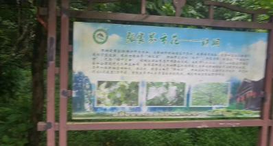 1691819762421.png